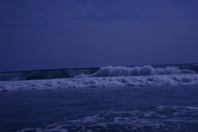 DSC_2135 (Large).JPG